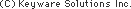(C)Keyware Solutions Inc.