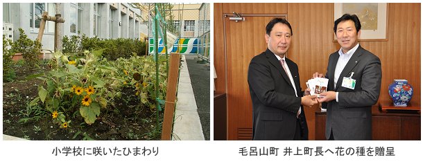 世田谷区の小学校と埼玉県入間郡毛呂山町に花の種を配布