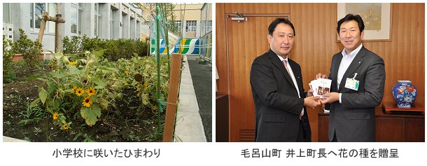 世田谷区の小学校と埼玉県入間郡毛呂山町に花の種を配布 世田谷区の小学校と埼玉県入間郡毛呂山町に花の種を配布