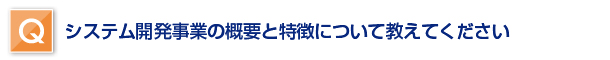 システム開発事業の概要と特徴について教えてください