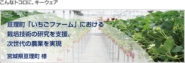 こんなトコロに、キーウェア　亘理町「いちごファーム」における栽培技術の研究を支援、次世代の農業を実現