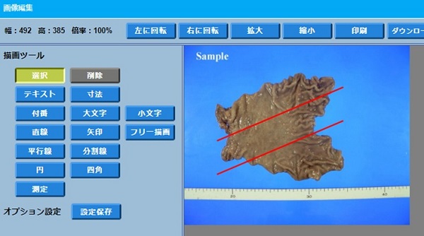 切り出し機能/画像編集の画面イメージ 