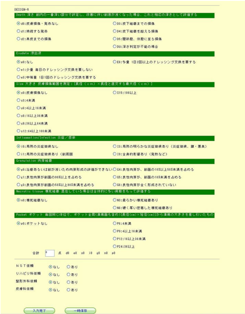 褥瘡回診記録の登録画面